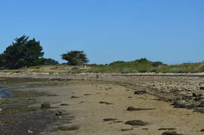 L'île de Tascon