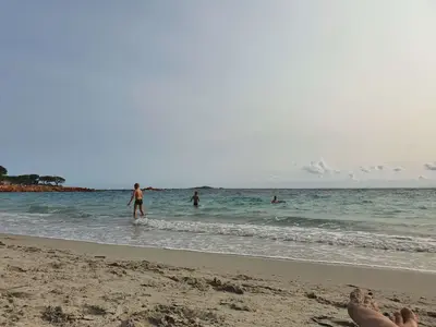 Plage palombaggia baignade scaled