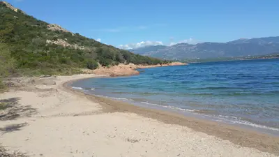Plage de Palombaggia