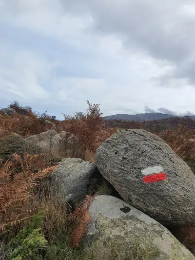 Marquage GR20 au plateau du Coscione