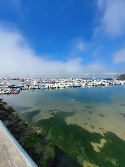 Port plaisance benodet