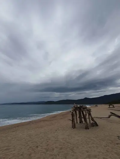 Cabane en bois flotté sur la plage