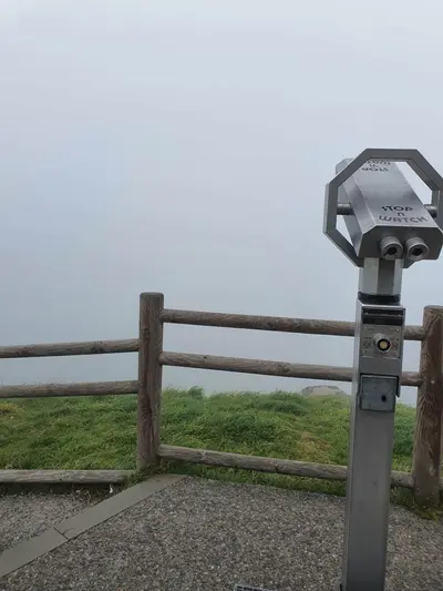 Jumelles dans la brume