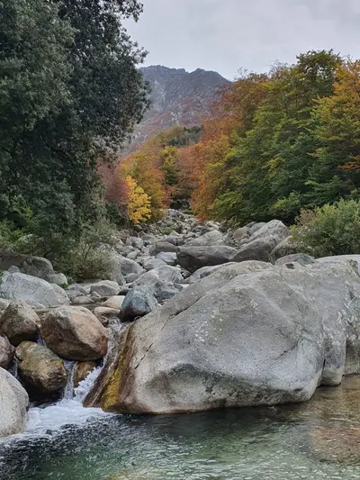 Riviere corse automne 1 scaled