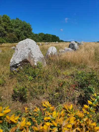 Alignements de Carnac