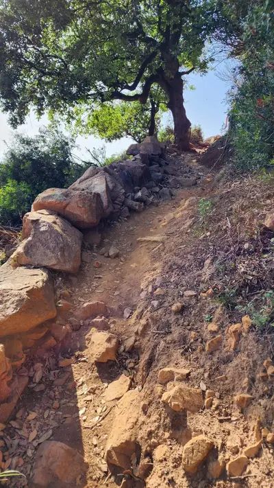 Chemin en terre