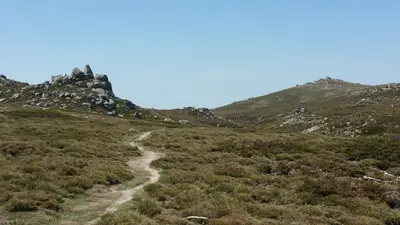 Sentier en terre