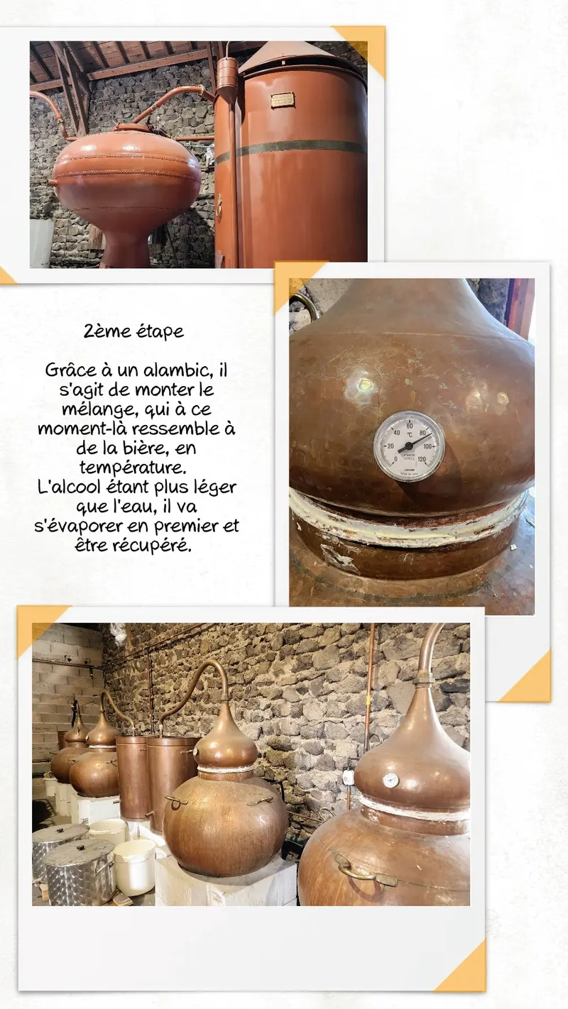 alambic distillation whisky