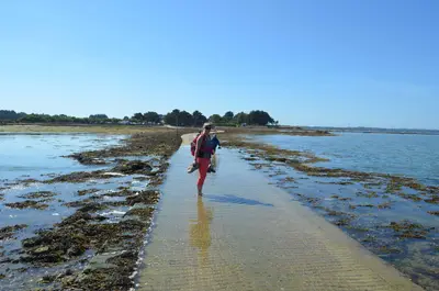 Traversée les pieds dans l'eau de la commune de Saint Armel à l'île de Tascon