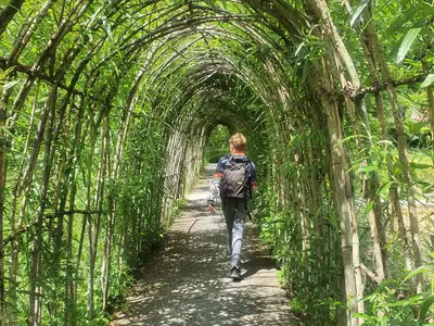 Structures en bois