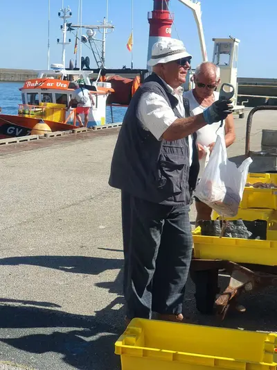 Vente de poissons au port de Guilvinec
