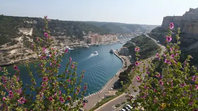 Vue sur le port avec des fleurs