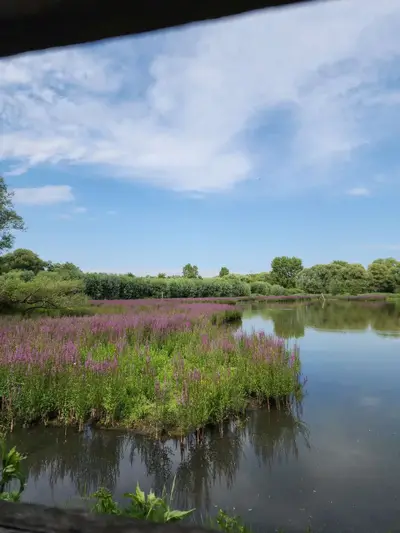 Etangs vus de l'observatoire