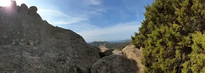 Panorama
