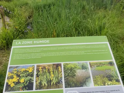 Zone humide jardins Mallet-Stevens
